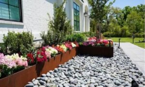 Xeriscape Austin Texas