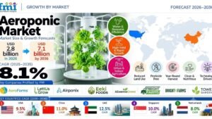 Aeroponic Market Outlook