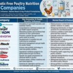 Antibiotic-Free Poultry Nutrition Market Outlook
