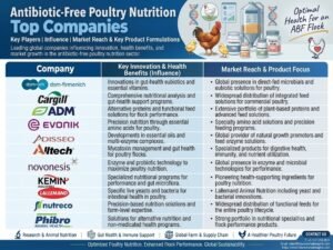 Antibiotic-Free Poultry Nutrition Market Outlook