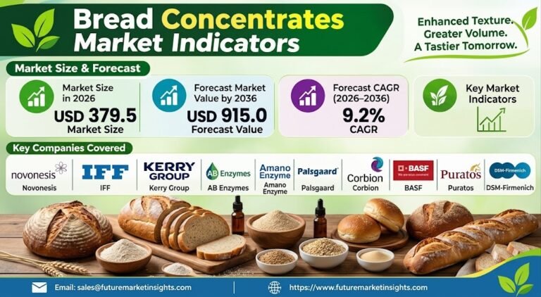 Bread Concentrates Market Outlook