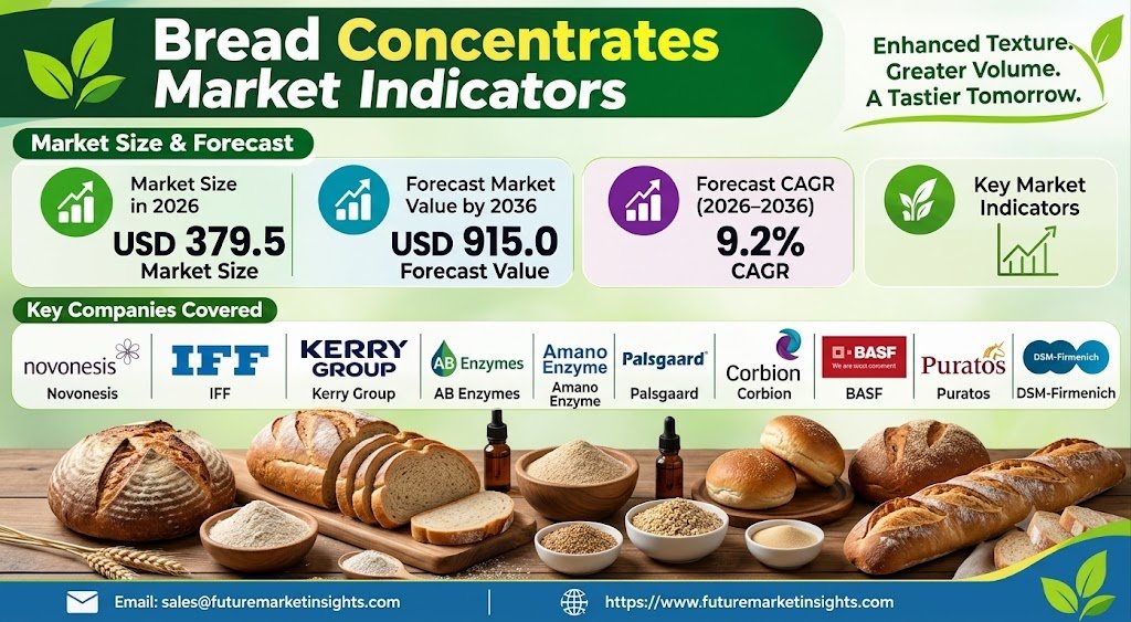 Bread Concentrates Market Outlook