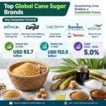 Cane Sugar Market Outlook