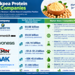 Chickpea Protein Market Outlook