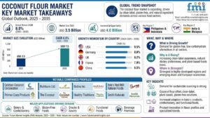 Coconut Flour Market Outlook