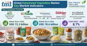 Dehydrated Vegetables Market Outlook
