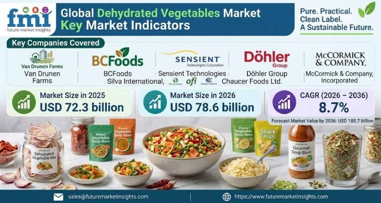 Dehydrated Vegetables Market Outlook