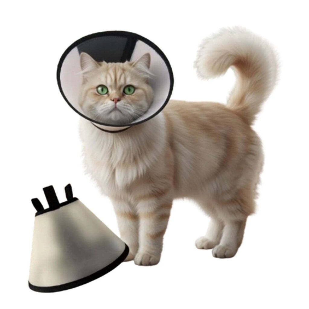 Cat Collar