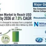 Marine Collagen Market