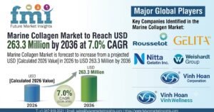 Marine Collagen Market
