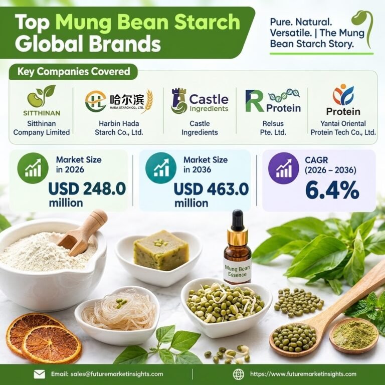 Mung Bean Starch Market Outlook