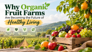Organic Fruit Farms