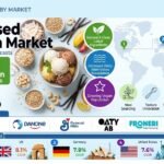 Plant-Based Ice Cream Market Outlook