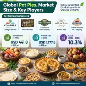 Pot Pies Market Outlook