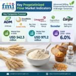 Pregelatinized Flour Market Outlook