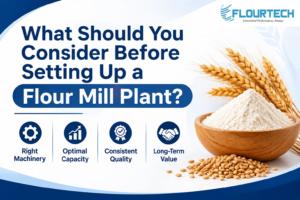What Should You Consider Before Setting Up a Flour Mill Plant