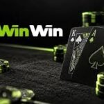 WinWin sports and casino guide covering betting markets and online gaming features