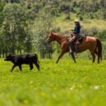 ranch financing Alberta
