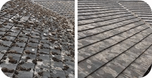 Signs Your Manchester Roof Needs a Professional Clean