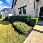 Commercial Landscape maintenance