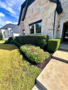 Commercial Landscape maintenance
