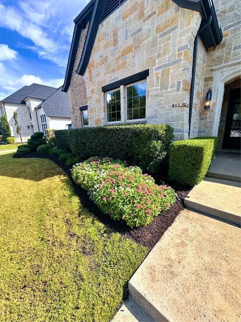 Commercial Landscape maintenance