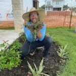 modern landscape design austin tx