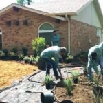 landscaping services austin texas