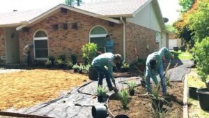 landscaping services austin texas