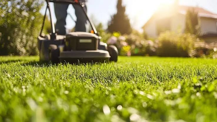 Commercial Landscape maintenance