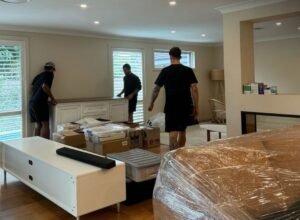 removalists balgowlah