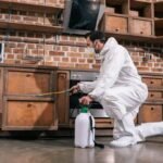 Pest Control Services in Lahore: 7 Benefits of Professional Termite Control