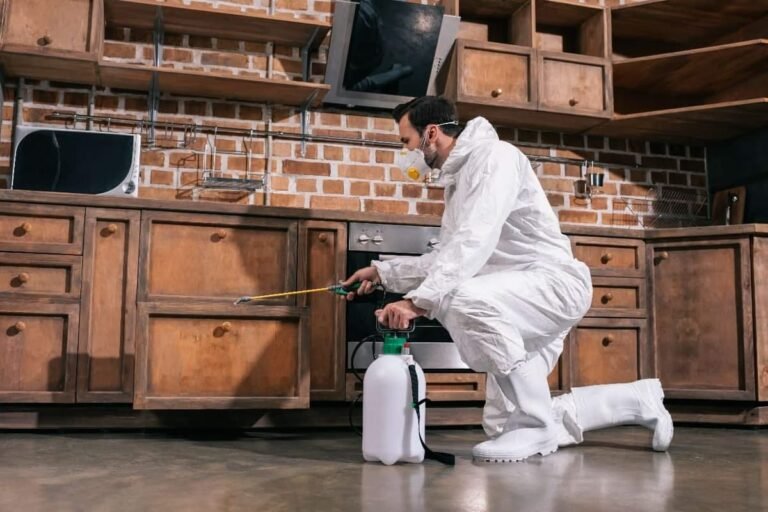 Pest Control Services in Lahore: 7 Benefits of Professional Termite Control